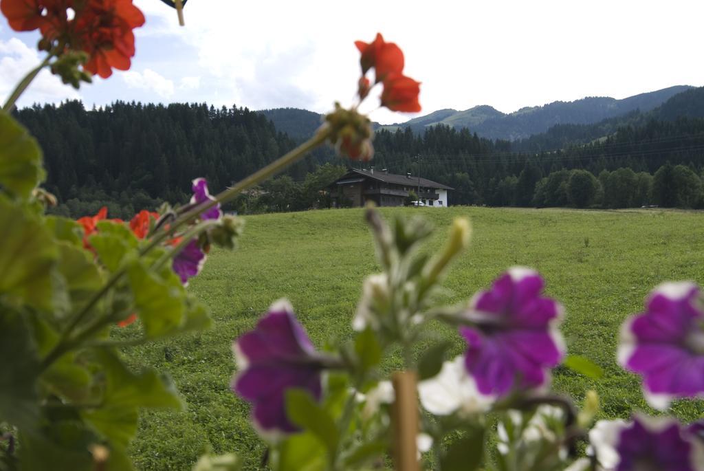 Haus Schatzbergblick Oberau Exterior photo